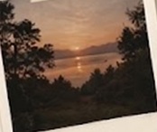 A warm sunset through the trees